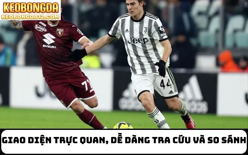 Giao diện trực quan, dễ dàng tra cứu và so sánh