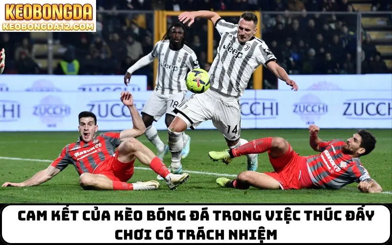 Cam kết của Kèo Bóng Đá trong việc thúc đẩy chơi có trách nhiệm