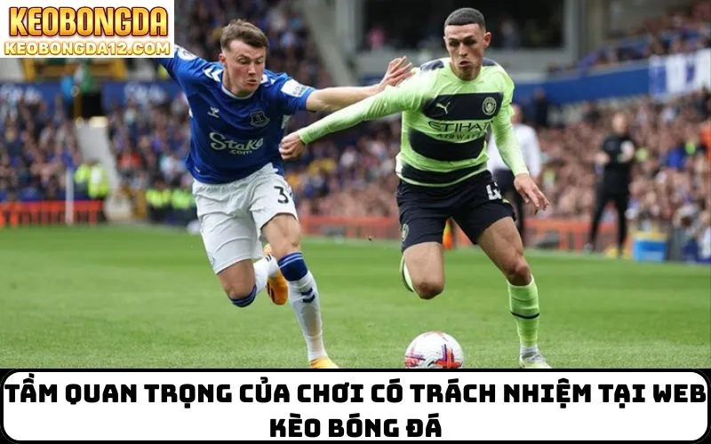 Tầm quan trọng của Chơi Có Trách Nhiệm tại web kèo bóng đá