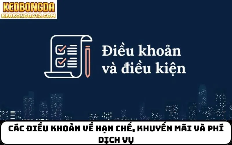 Các điều khoản về hạn chế, khuyến mãi và phí dịch vụ