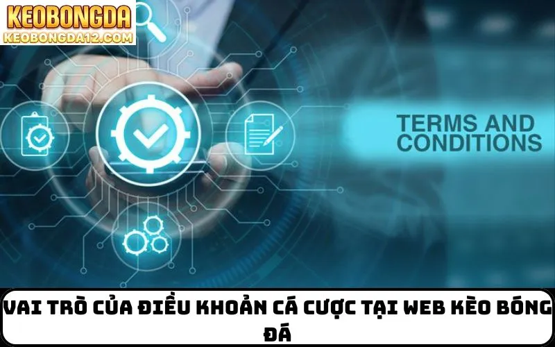 Vai trò của Điều Khoản Cá Cược tại web kèo bóng đá