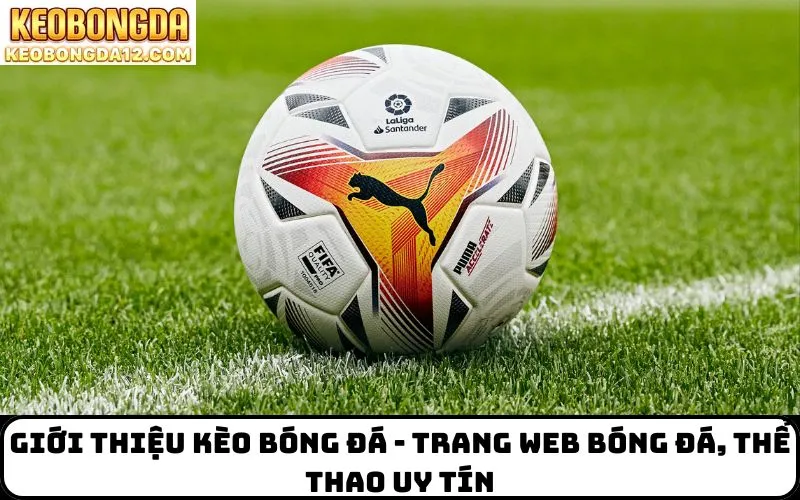 Giới Thiệu Kèo Bóng Đá - Trang web bóng đá, thể thao uy tín