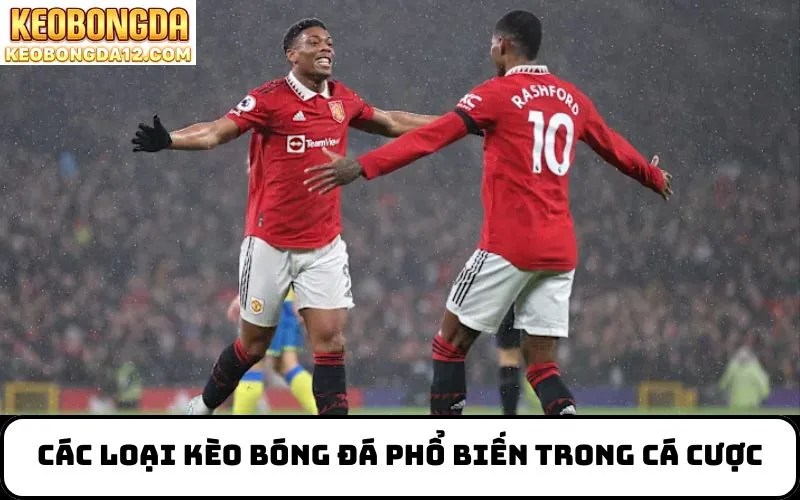 Các loại kèo bóng đá hôm nay phổ biến trong cá cược