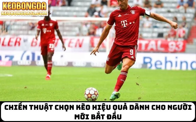 Chiến thuật chọn kèo hiệu quả dành cho người mới bắt đầu