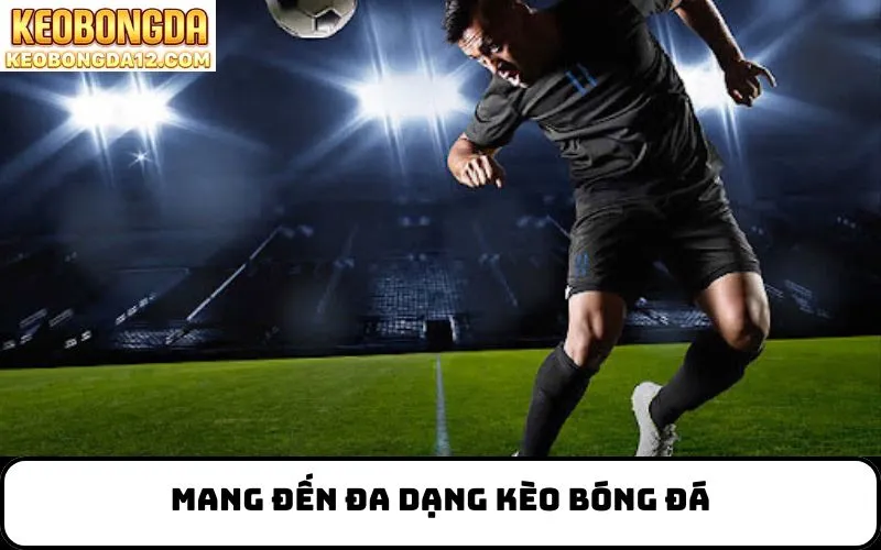 Mang đến đa dạng kèo bóng đá