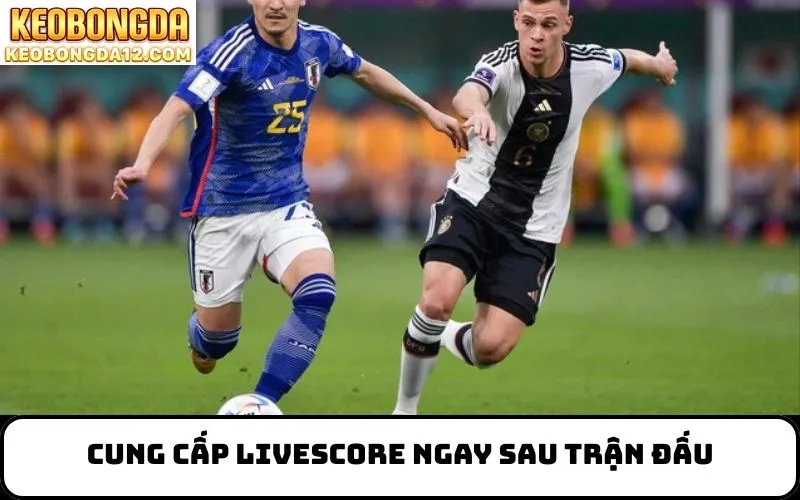 Cung cấp Livescore ngay sau trận đấu