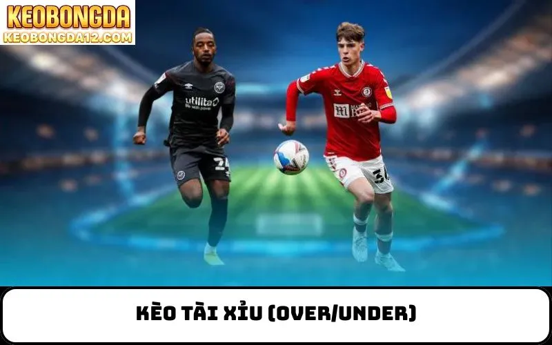 Kèo Tài Xỉu (Over/Under)