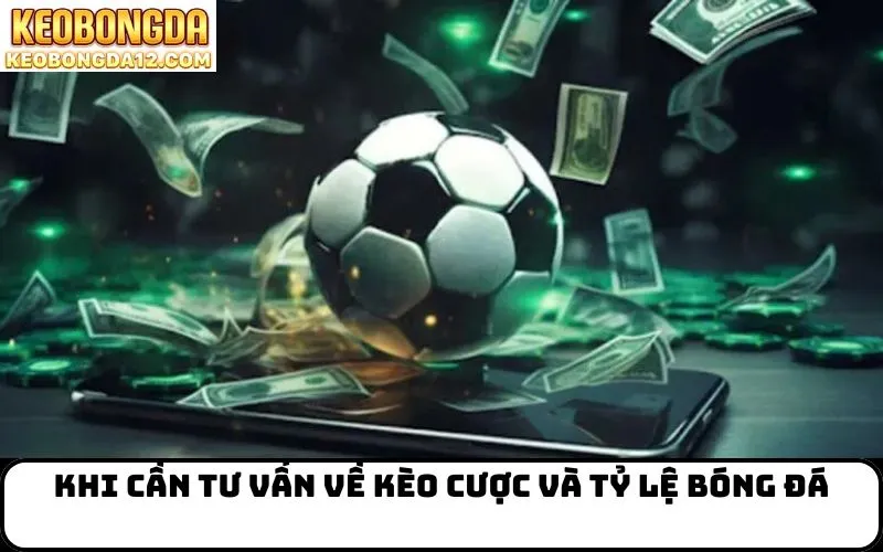 Khi cần tư vấn về kèo cược và tỷ lệ bóng đá