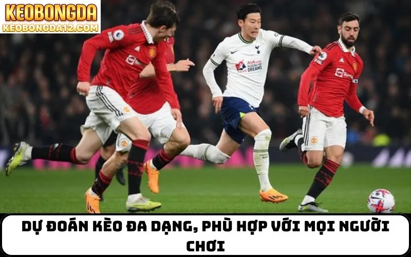 Dự đoán kèo đa dạng, phù hợp với mọi người chơi