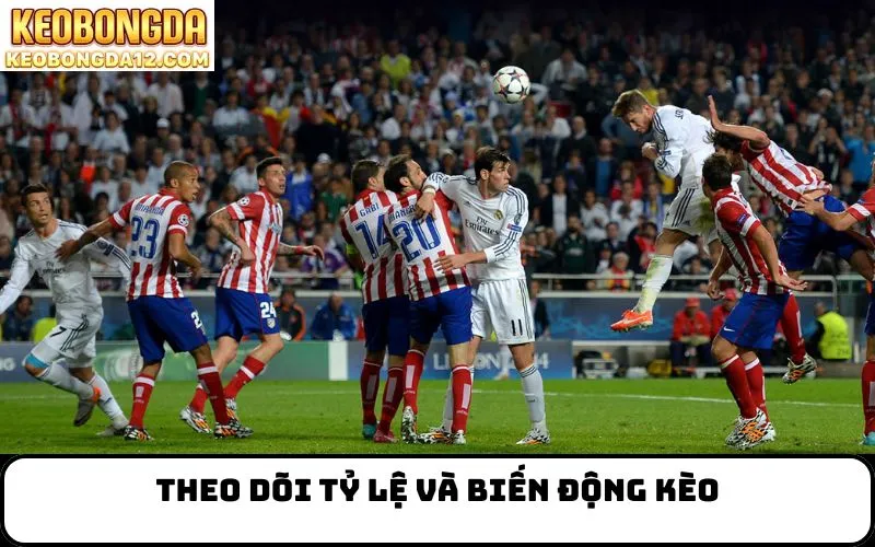 Theo dõi tỷ lệ và biến động kèo