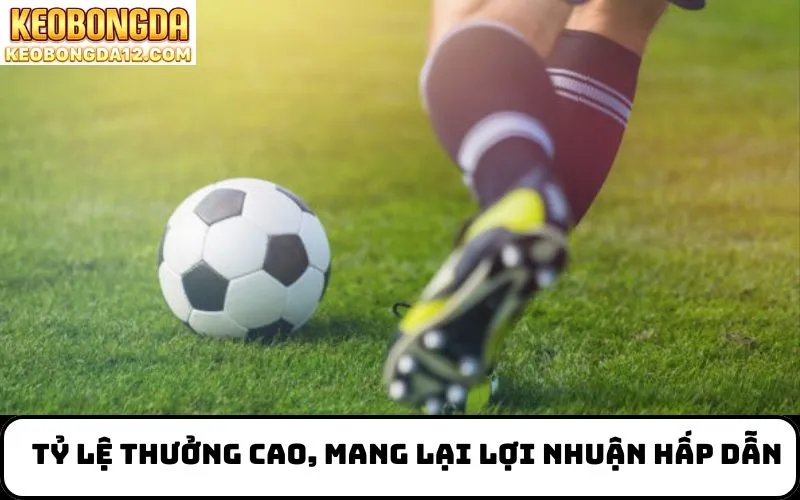 Tỷ lệ thưởng cao, mang lại lợi nhuận hấp dẫn