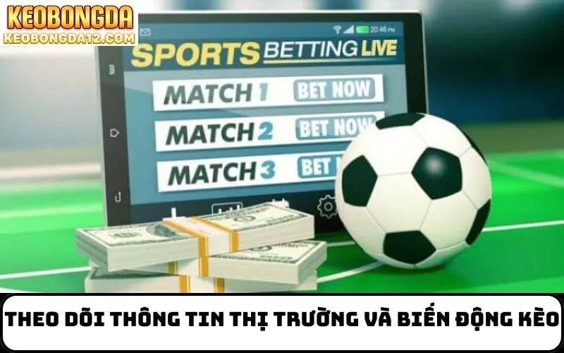 Theo dõi thông tin thị trường và biến động kèo