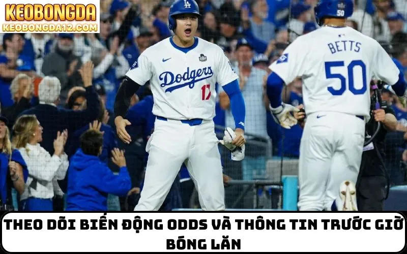 Theo dõi biến động odds và thông tin trước giờ bóng lăn