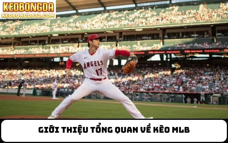 Giới thiệu tổng quan về kèo MLB
