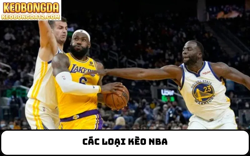 Các loại kèo NBA
