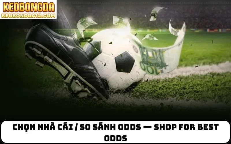 Chọn nhà cái / so sánh odds — shop for best odds