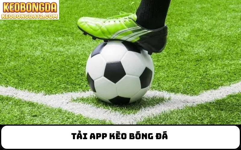 Tải App Kèo Bóng Đá