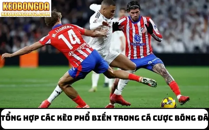 Tổng hợp các kèo phổ biến trong cá cược bóng đá