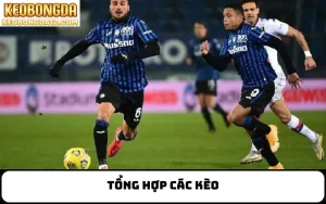 tổng hợp các kèo