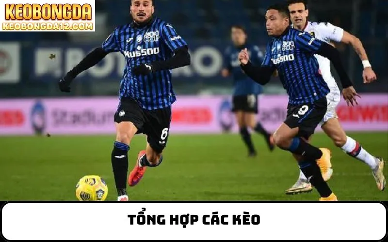 tổng hợp các kèo
